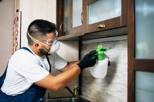 Best Best Pest Control Companies  in North Muskegon, MI
