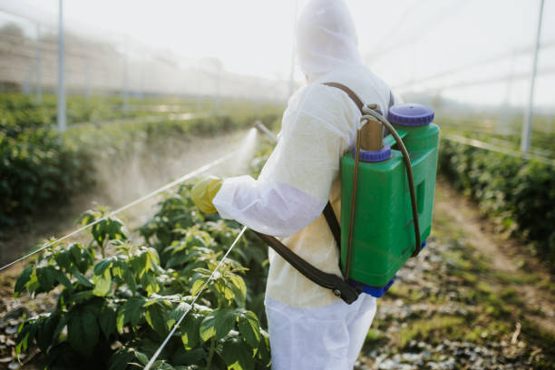Best Cockroach Control Services  in North Muskegon, MI
